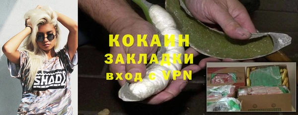 крисы Вязники