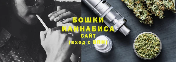 МДПВ Вяземский