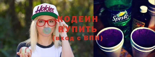 МДПВ Вяземский