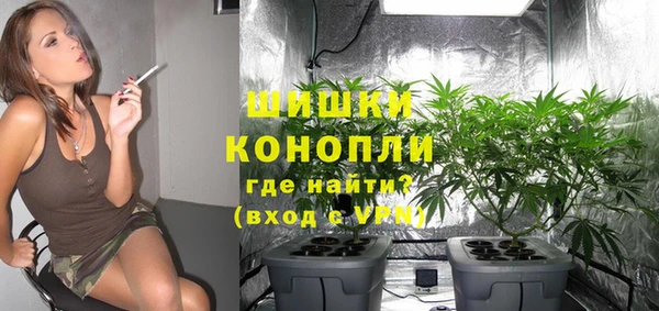 гидропоника Вязьма