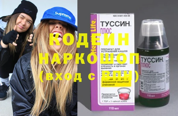 МДПВ Вяземский