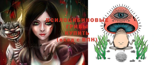 МДПВ Вяземский