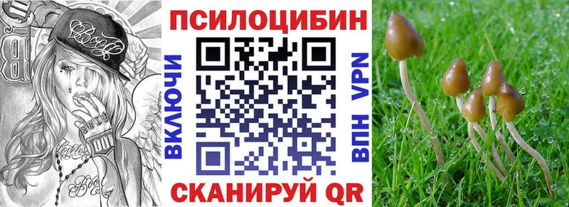 Галлюциногенные грибы мицелий  Купить  Апрелевка 